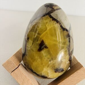 Stunning Septarian Dragon Quartz Crystal Geode Egg Stone Collectors Art Gift